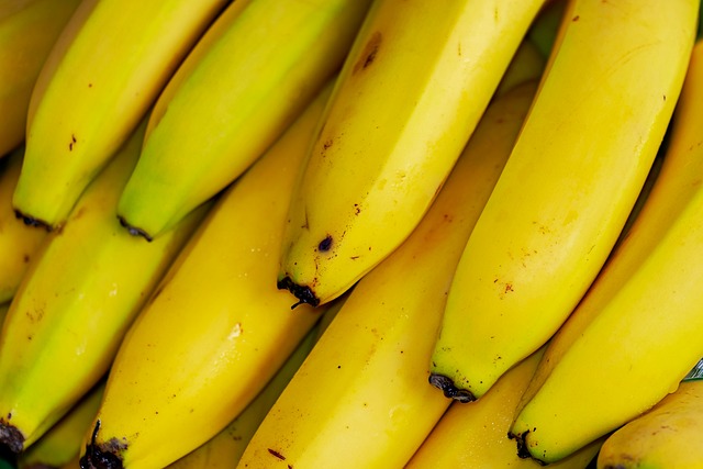 Pommes de terre et bananes GM testées en Inde